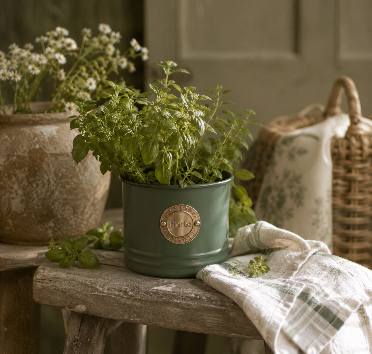Green Herb Planter
