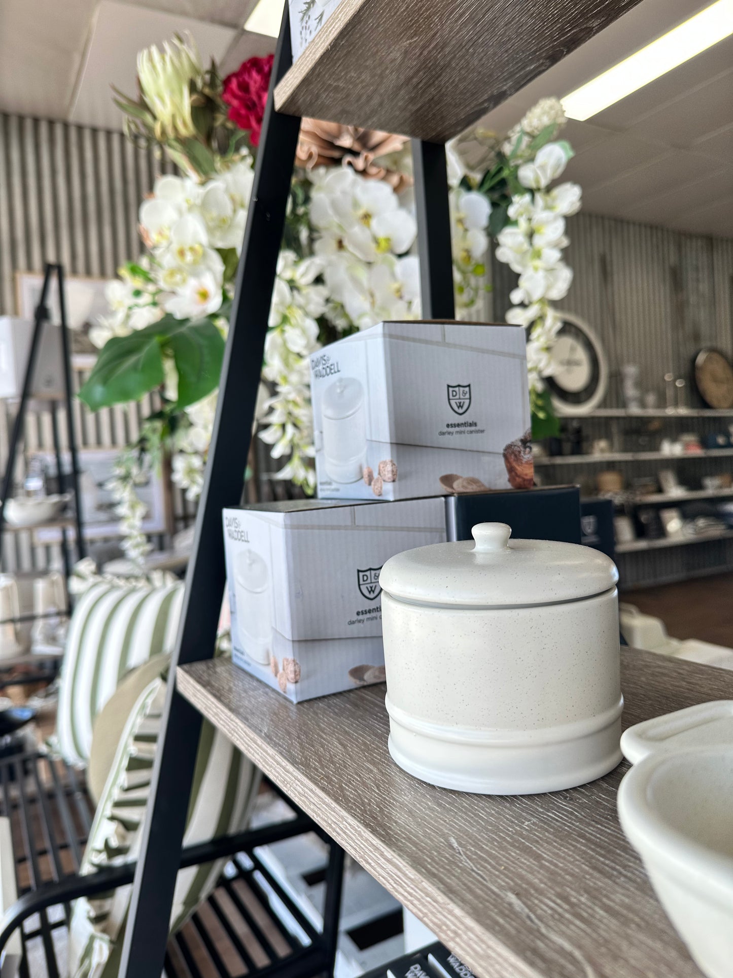 Darley Mini Canister Cream