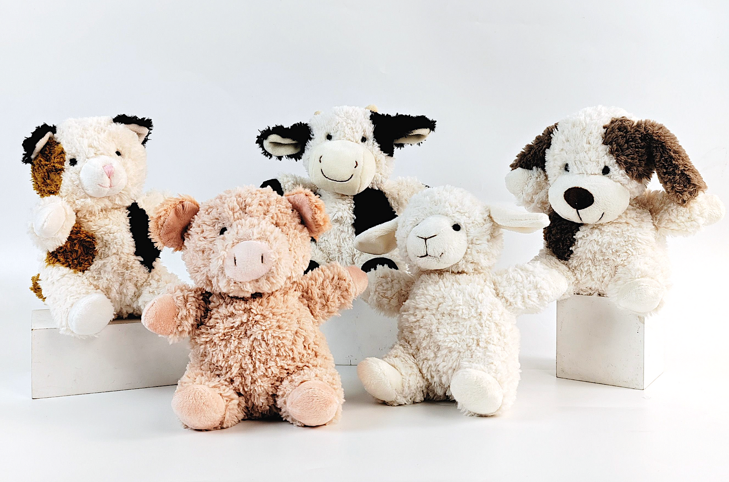 Curly Pig Soft Toy