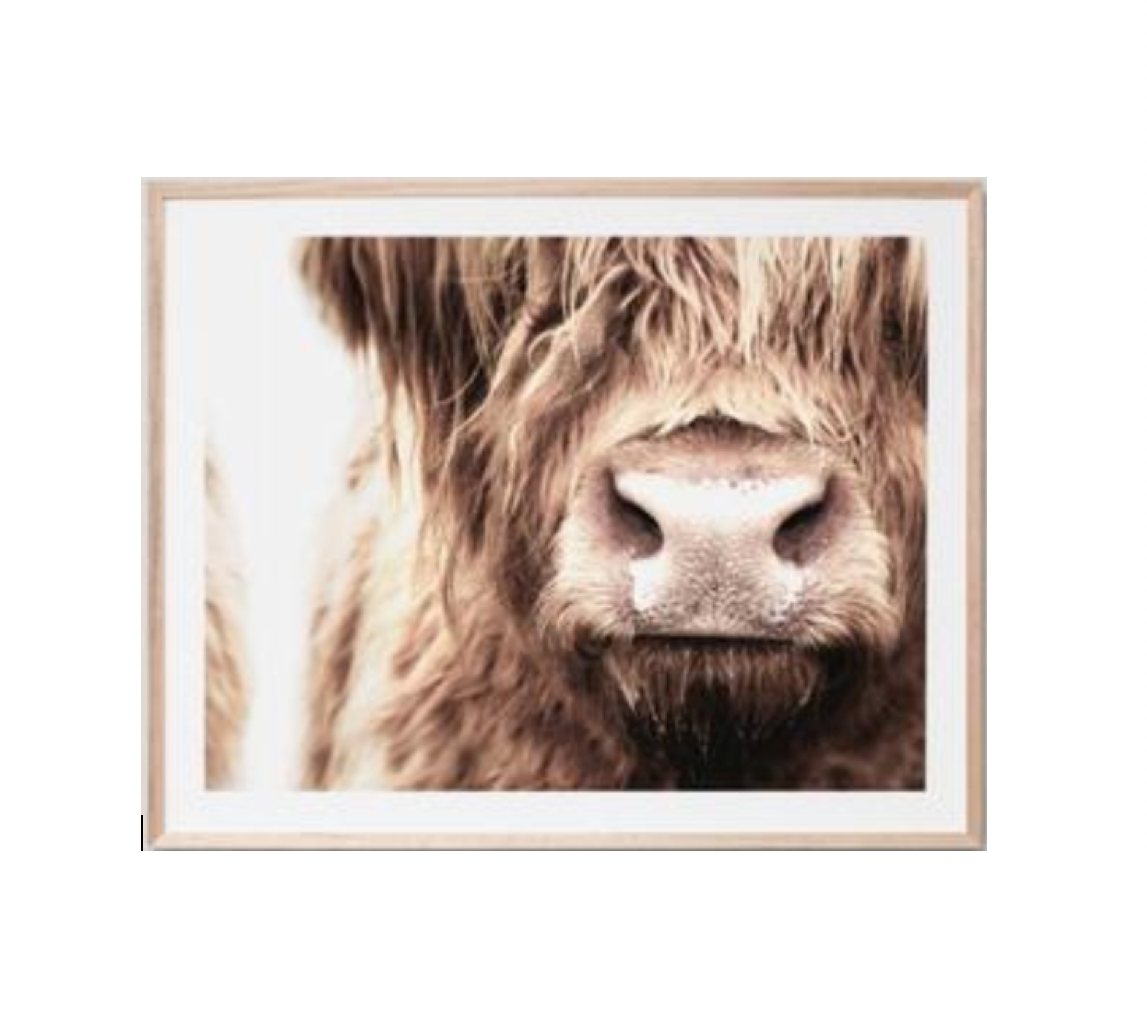 PRE ORDER - Framed Highland Cow