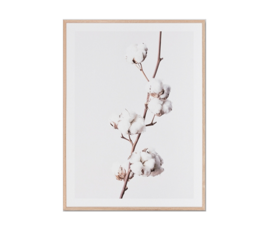 PRE ORDER - Framed White Cotton