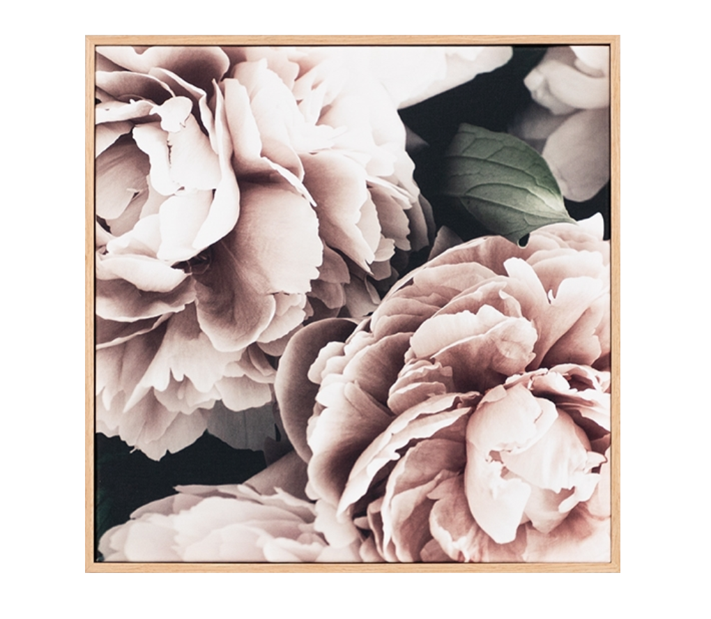 Soft Petal 2 Canvas