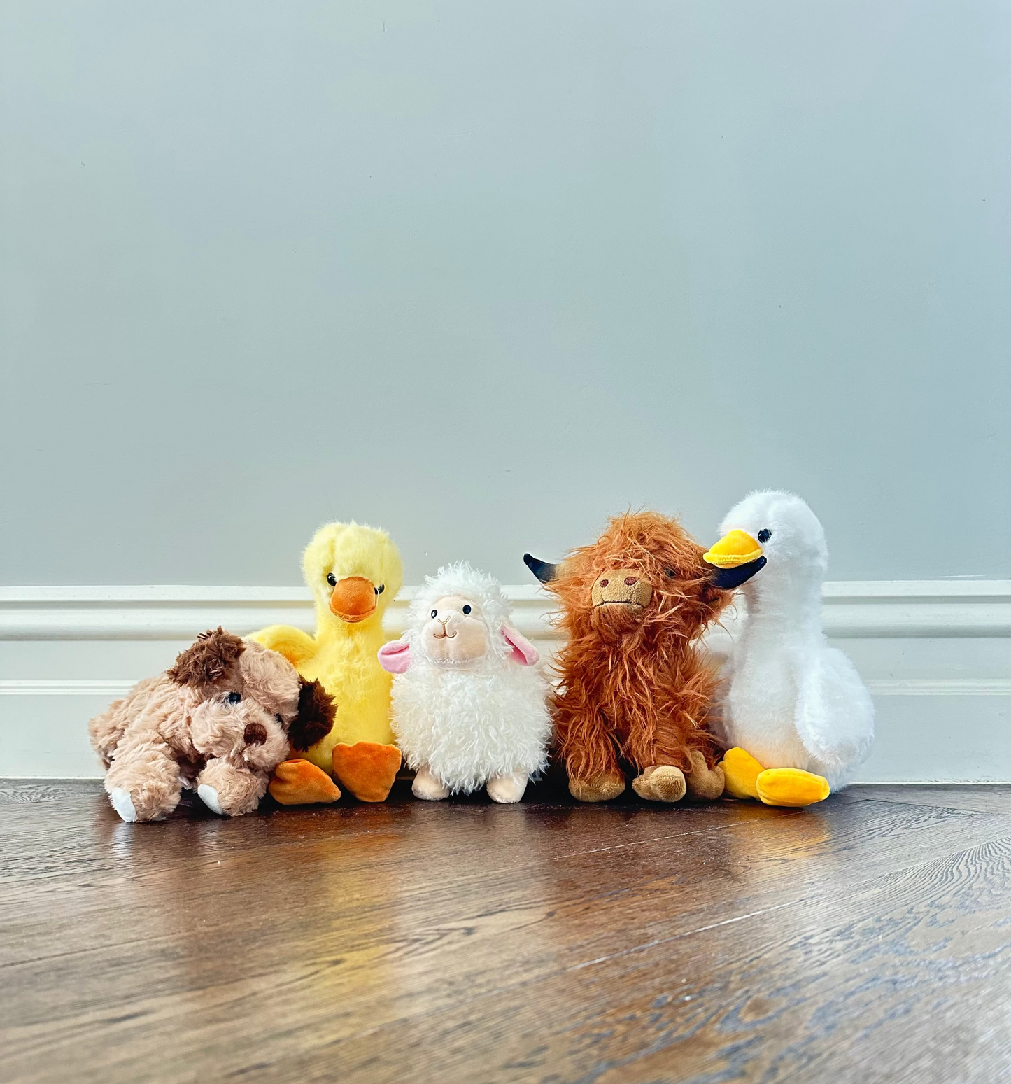 Sweety The Sheep