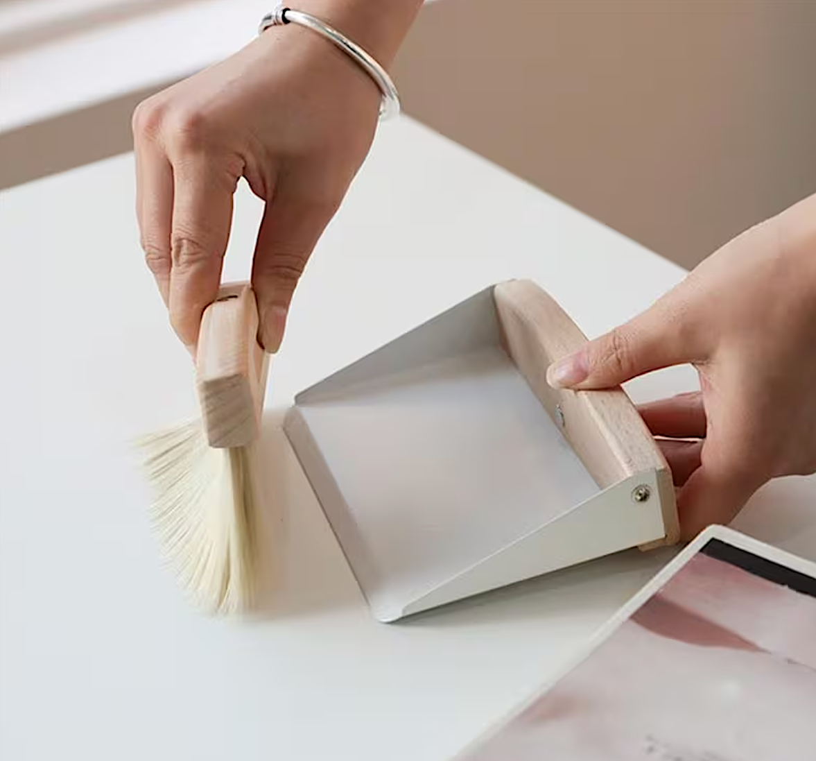 Compact Dustpan & Brush Set