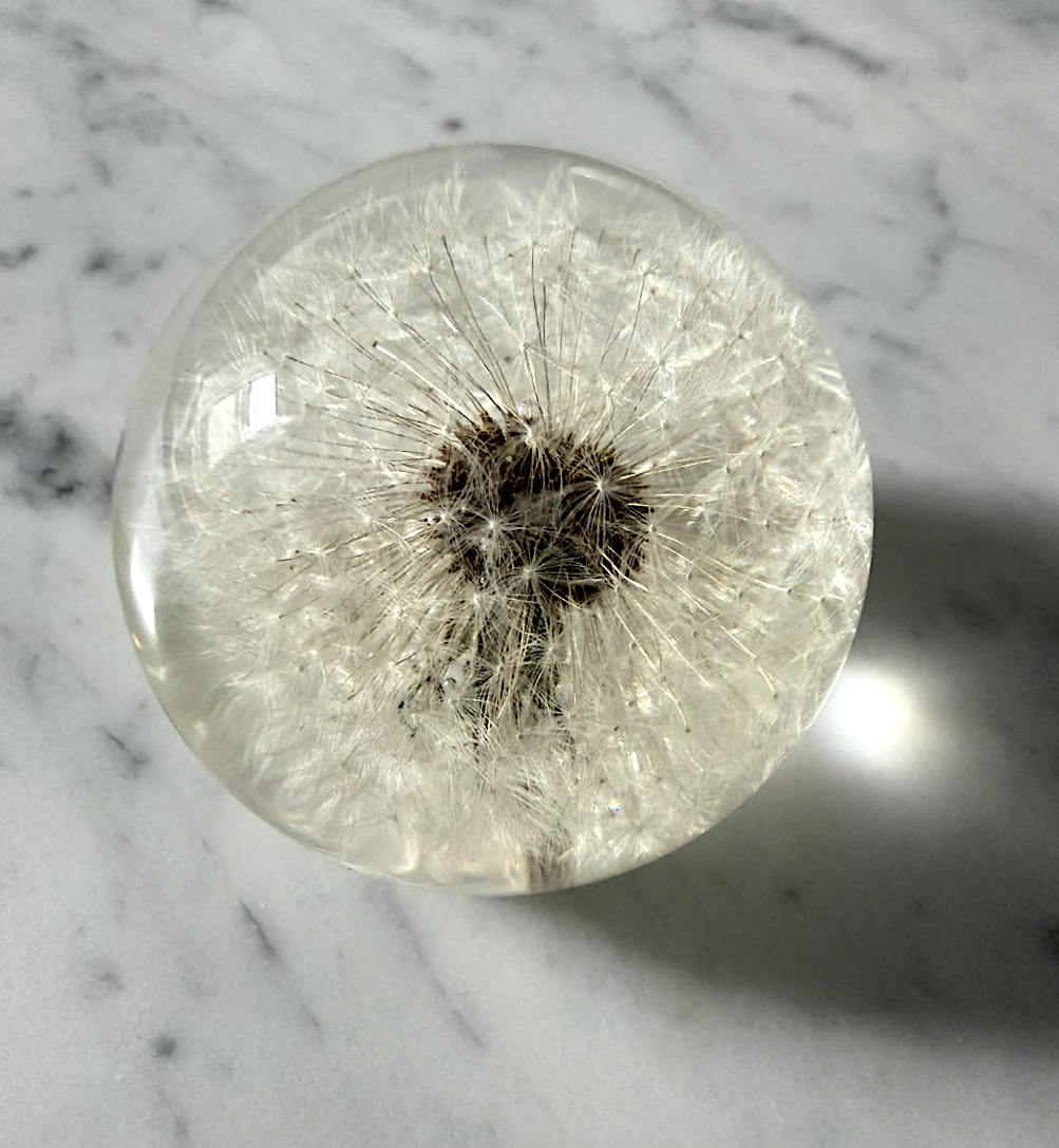 Dandelion Paperweight