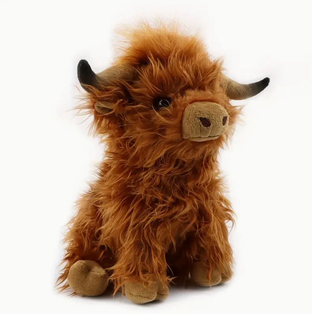 Harry The Highland Cow