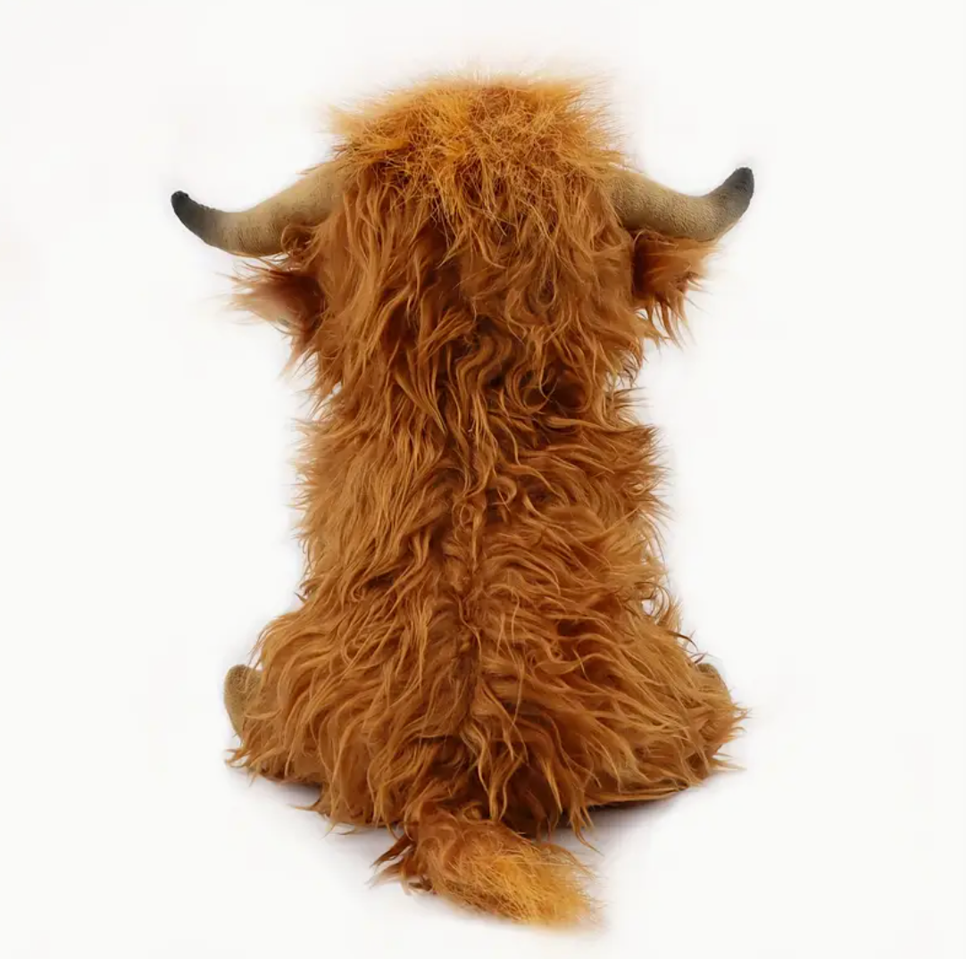 Harry The Highland Cow