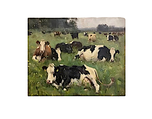 Dairy Cows Canvas Print