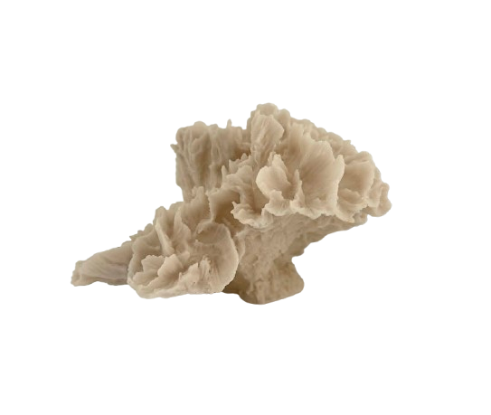 Faux Coral