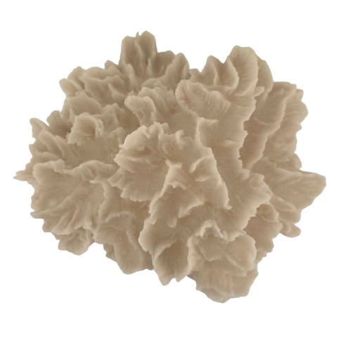 Faux Coral