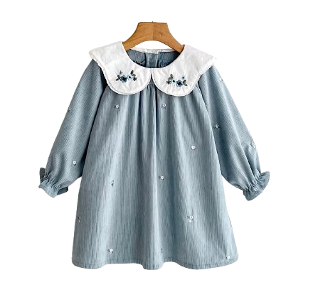 Embroidered Blue Baby Dress