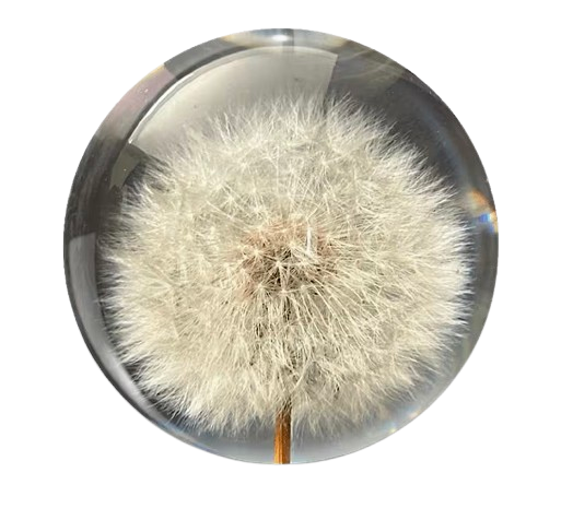 Dandelion Paperweight