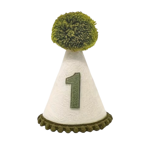 Green 1st Birthday Hat