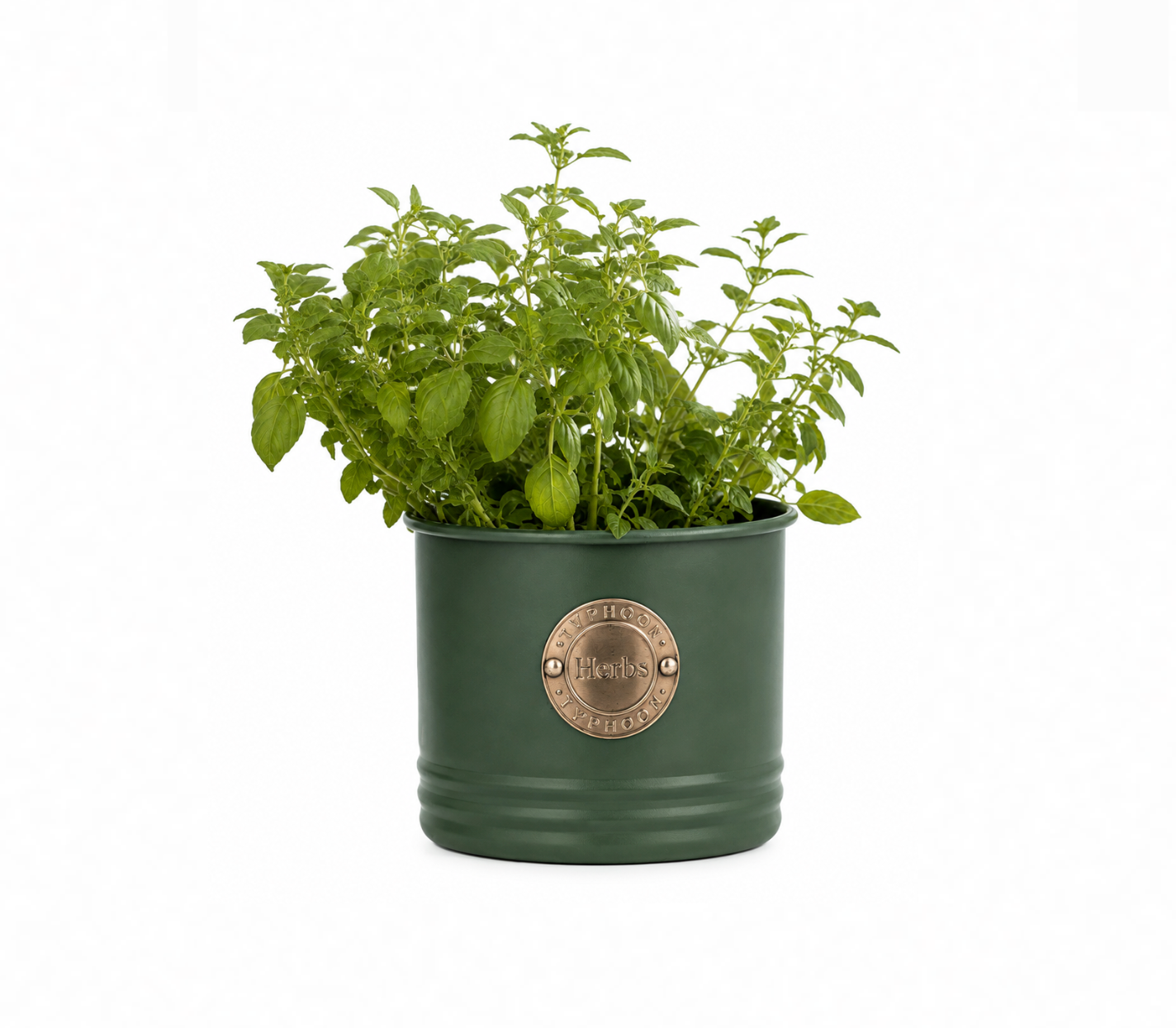 Green Herb Planter