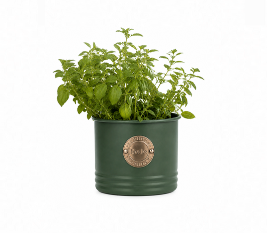 Green Herb Planter