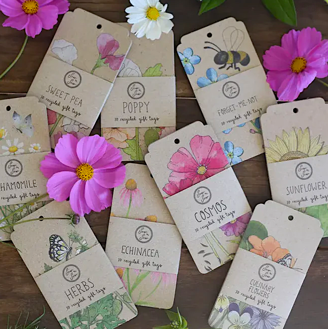 Cosmos Gift Tags 10pk
