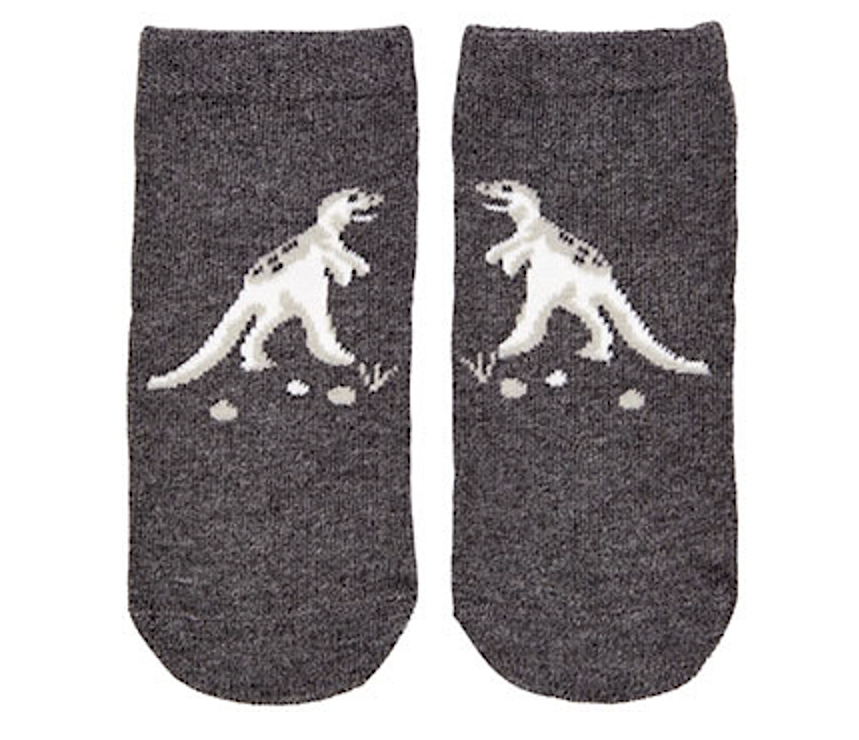 Dinosaurs Toshi Organic Baby Socks