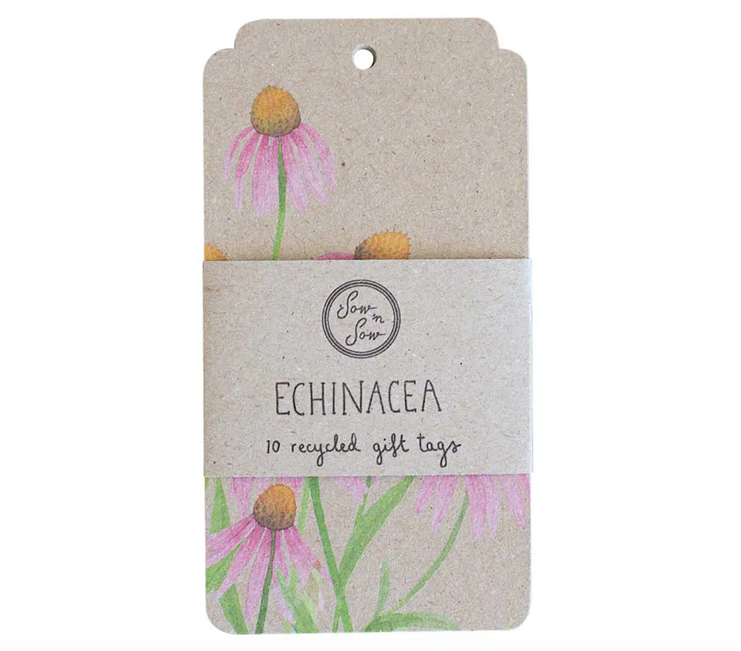 10pk Echinacea Gift Tags