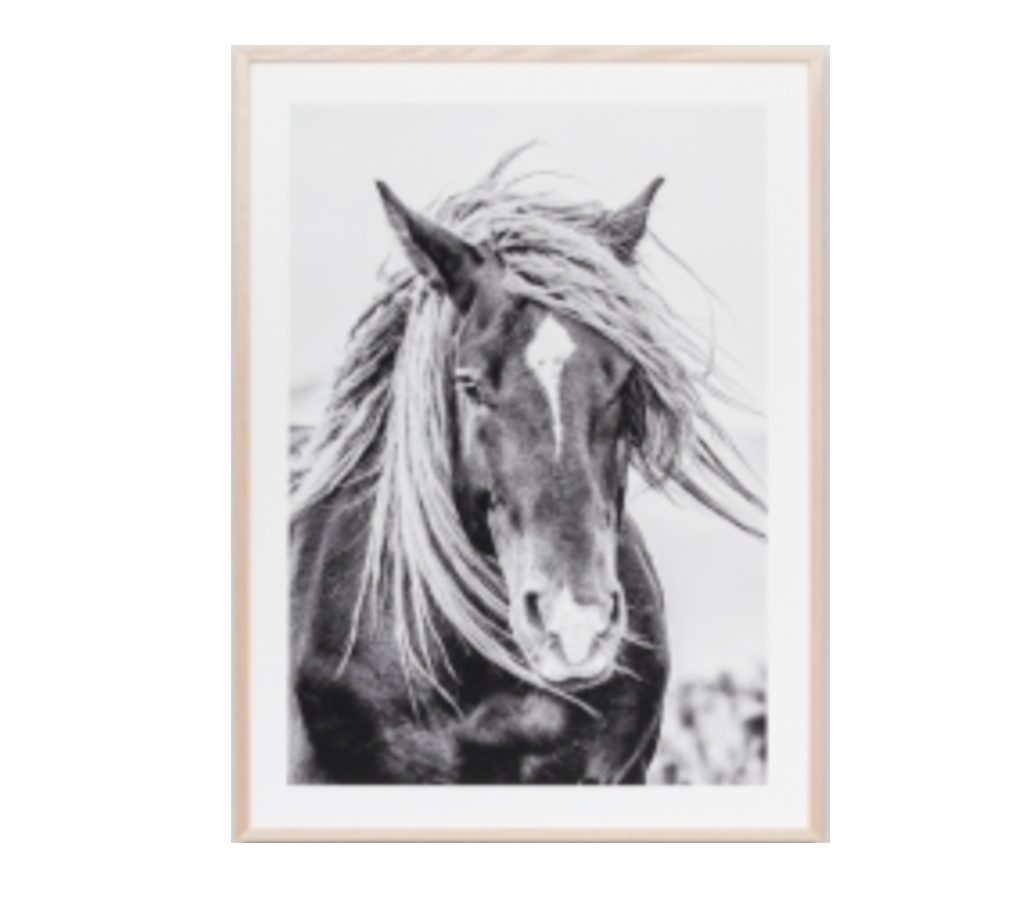 PRE ORDER - Framed Grey Mustang Print